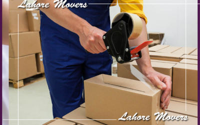 DOMESTIC RELOCATION