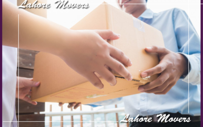 DOMESTIC CARGO