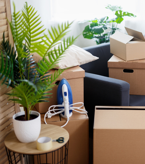 House Relocation.jpg